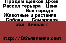 Продам щенков Джек Рассел терьера › Цена ­ 25 000 - Все города Животные и растения » Собаки   . Самарская обл.,Кинель г.